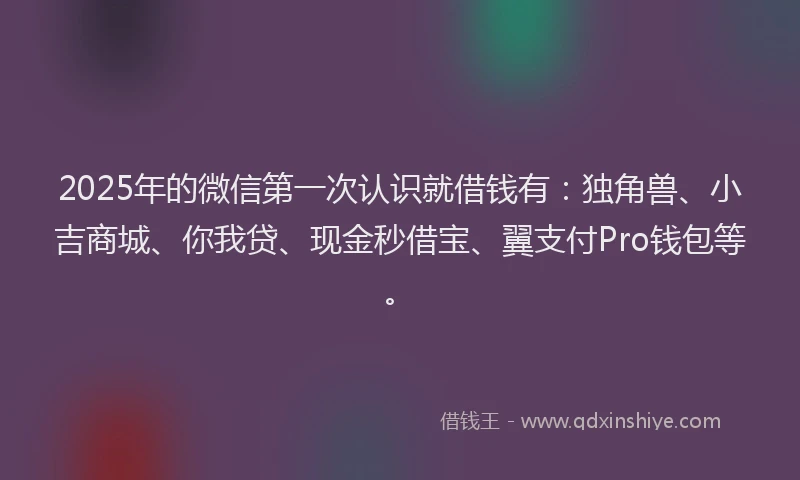 2025年的微信第一次认识就借钱有：独角兽、小吉商城、你我贷、现金秒借宝、翼支付Pro钱包等。