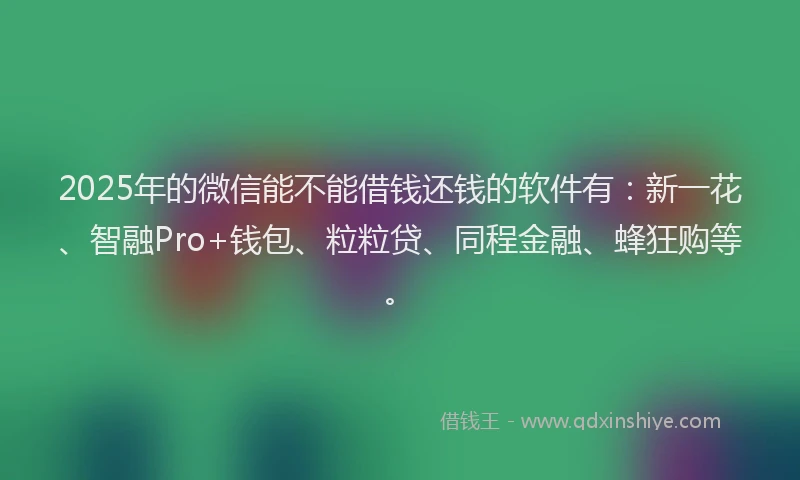 2025年的微信能不能借钱还钱的软件有：新一花、智融Pro+钱包、粒粒贷、同程金融、蜂狂购等。