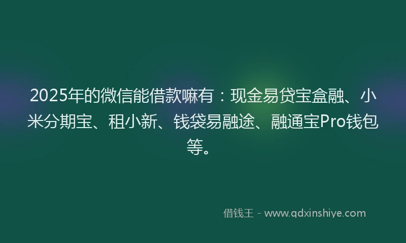 2025年的微信能借款嘛有：现金易贷宝盒融、小米分期宝、租小新、钱袋易融途、融通宝Pro钱包等。