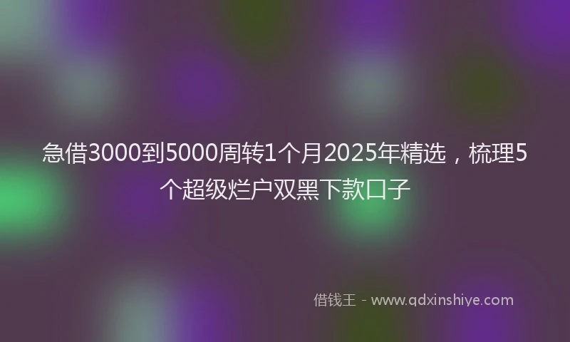 急借3000到5000周转1个月2025年精选，梳理5个超级烂户双黑下款口子
