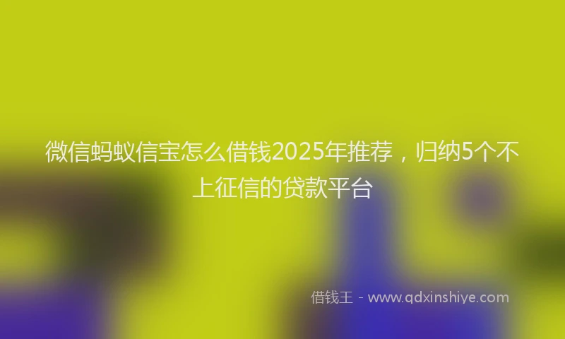 微信蚂蚁信宝怎么借钱2025年推荐，归纳5个不上征信的贷款平台