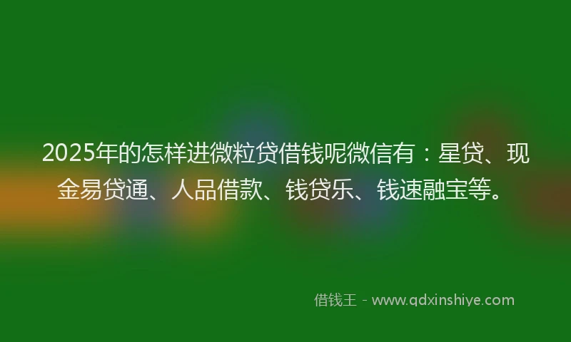 2025年的怎样进微粒贷借钱呢微信有：星贷、现金易贷通、人品借款、钱贷乐、钱速融宝等。