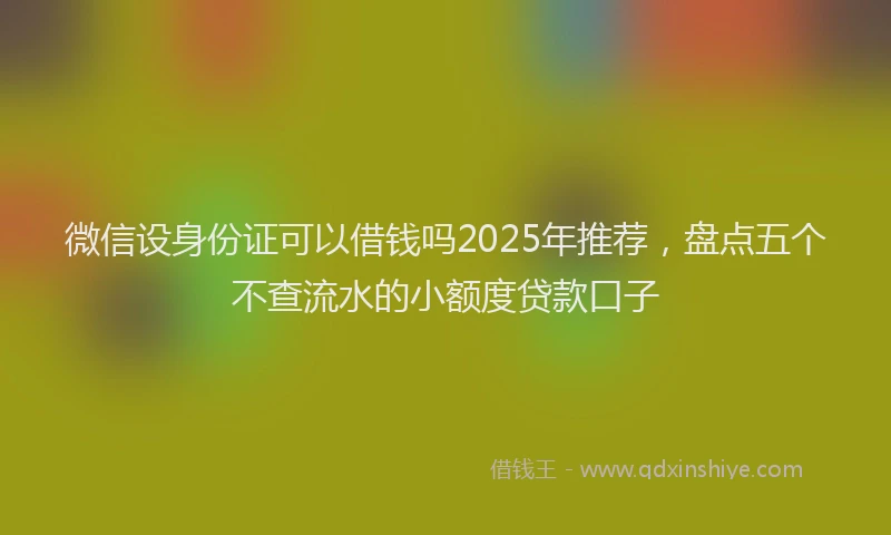 微信设身份证可以借钱吗2025年推荐，盘点五个不查流水的小额度贷款口子