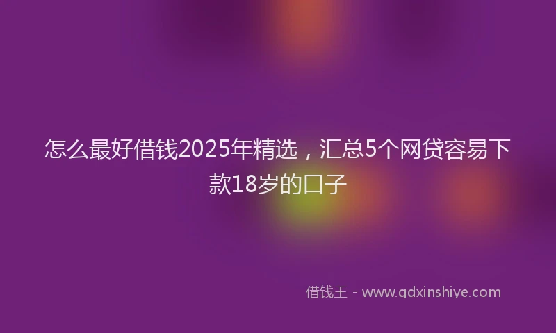 怎么最好借钱2025年精选，汇总5个网贷容易下款18岁的口子
