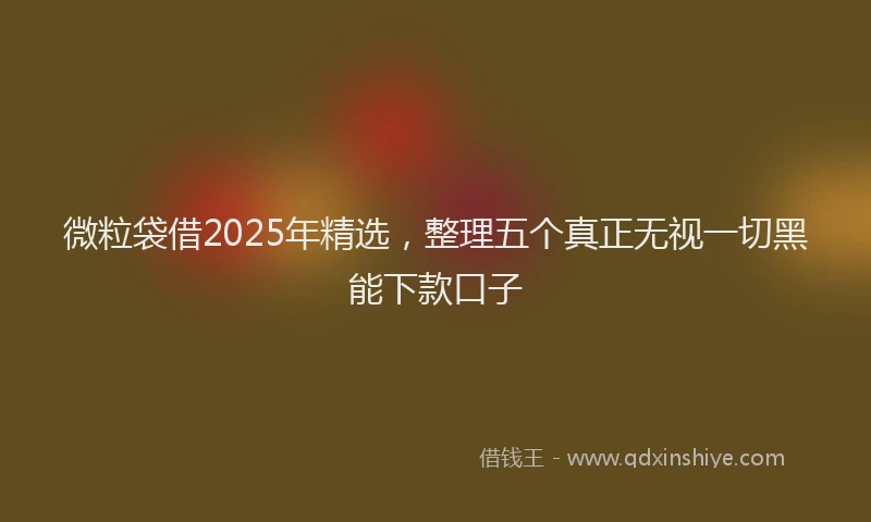 微粒袋借2025年精选，整理五个真正无视一切黑能下款口子