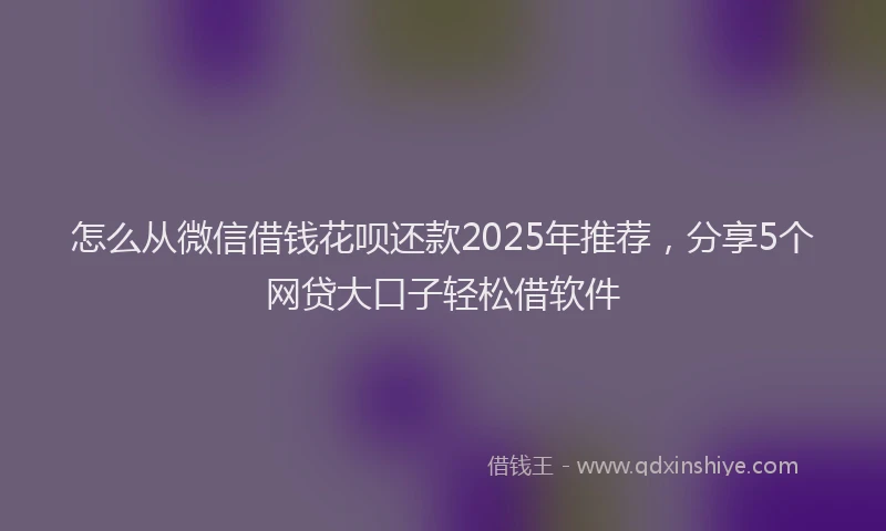 怎么从微信借钱花呗还款2025年推荐，分享5个网贷大口子轻松借软件