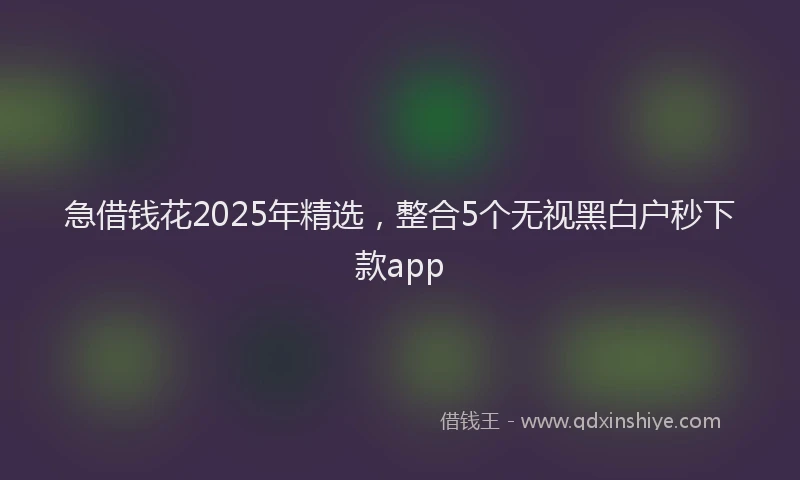 急借钱花2025年精选，整合5个无视黑白户秒下款app