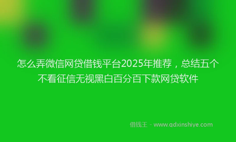 怎么弄微信网贷借钱平台2025年推荐，总结五个不看征信无视黑白百分百下款网贷软件