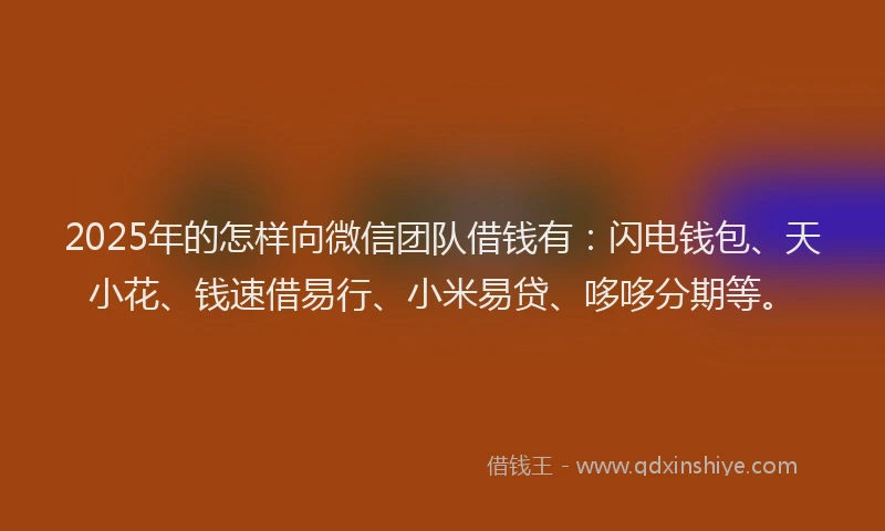 2025年的怎样向微信团队借钱有：闪电钱包、天小花、钱速借易行、小米易贷、哆哆分期等。