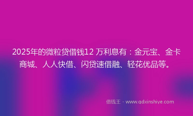 2025年的微粒贷借钱12 万利息有：金元宝、金卡商城、人人快借、闪贷速借融、轻花优品等。