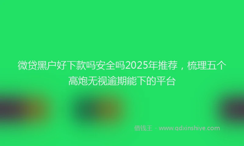 微贷黑户好下款吗安全吗2025年推荐，梳理五个高炮无视逾期能下的平台