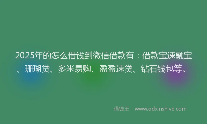 2025年的怎么借钱到微信借款有：借款宝速融宝、珊瑚贷、多米易购、盈盈速贷、钻石钱包等。