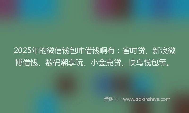 2025年的微信钱包咋借钱啊有：省时贷、新浪微博借钱、数码潮享玩、小金鹿贷、快鸟钱包等。