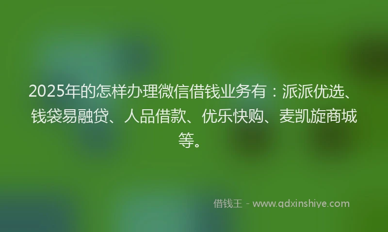 2025年的怎样办理微信借钱业务有：派派优选、钱袋易融贷、人品借款、优乐快购、麦凯旋商城等。
