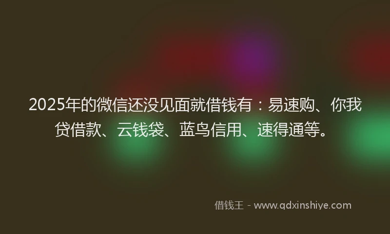 2025年的微信还没见面就借钱有：易速购、你我贷借款、云钱袋、蓝鸟信用、速得通等。