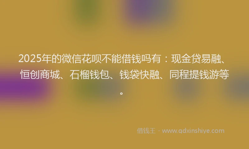 2025年的微信花呗不能借钱吗有：现金贷易融、恒创商城、石榴钱包、钱袋快融、同程提钱游等。