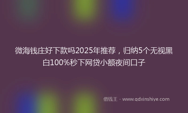 微海钱庄好下款吗2025年推荐，归纳5个无视黑白100%秒下网贷小额夜间口子