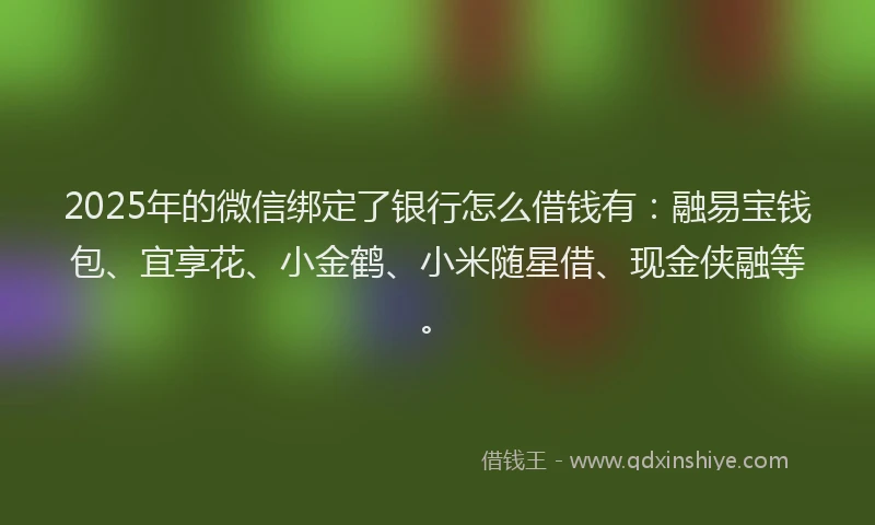 2025年的微信绑定了银行怎么借钱有：融易宝钱包、宜享花、小金鹤、小米随星借、现金侠融等。