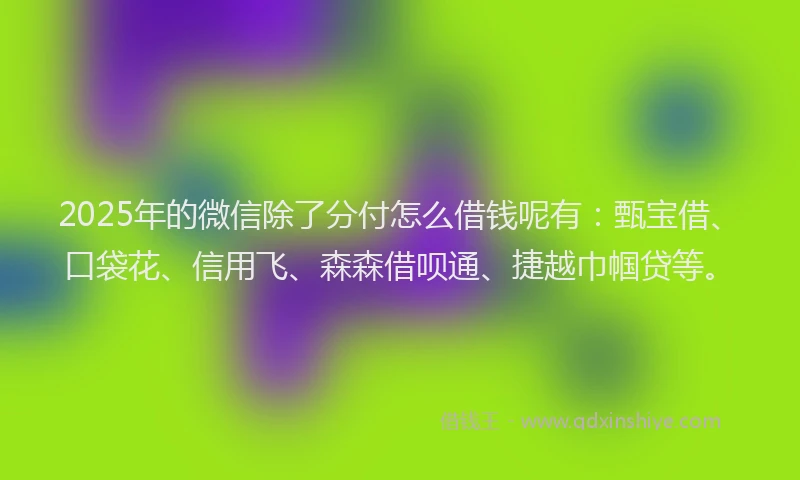 2025年的微信除了分付怎么借钱呢有：甄宝借、口袋花、信用飞、森森借呗通、捷越巾帼贷等。