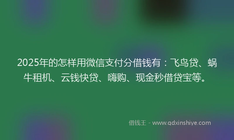 2025年的怎样用微信支付分借钱有：飞鸟贷、蜗牛租机、云钱快贷、嗨购、现金秒借贷宝等。