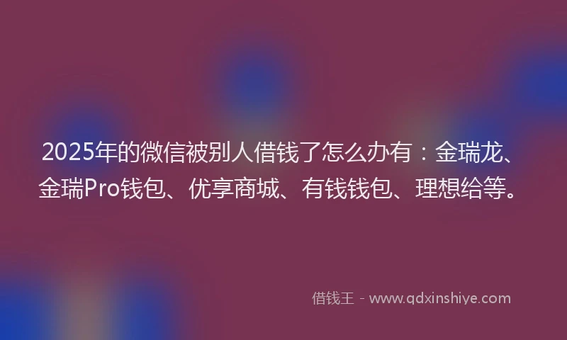 2025年的微信被别人借钱了怎么办有：金瑞龙、金瑞Pro钱包、优享商城、有钱钱包、理想给等。