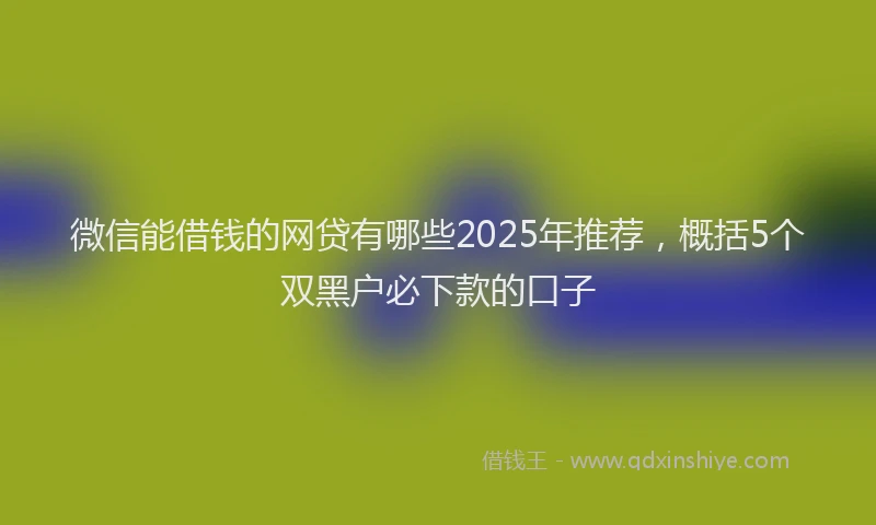 微信能借钱的网贷有哪些2025年推荐，概括5个双黑户必下款的口子