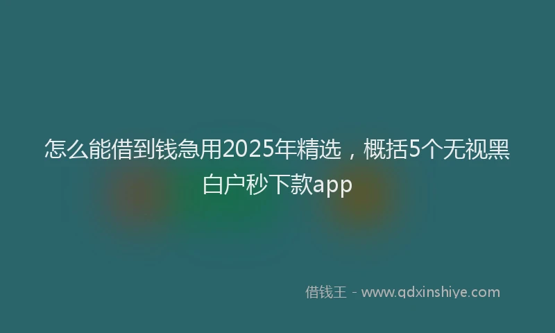 怎么能借到钱急用2025年精选，概括5个无视黑白户秒下款app