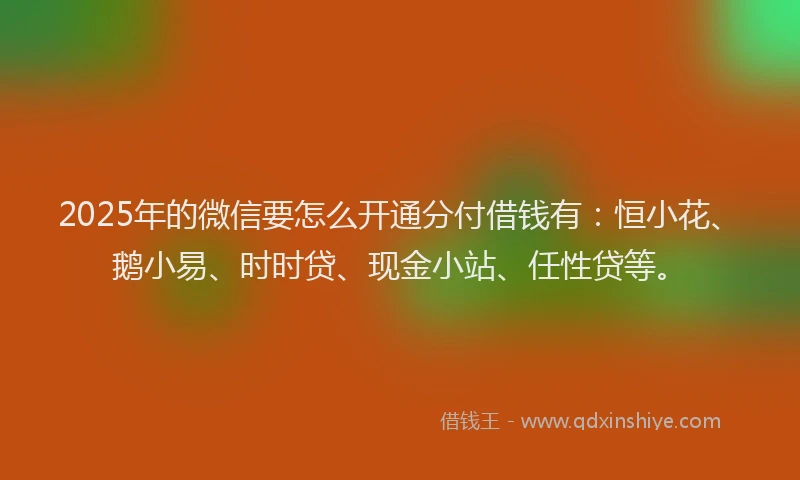 2025年的微信要怎么开通分付借钱有：恒小花、鹅小易、时时贷、现金小站、任性贷等。