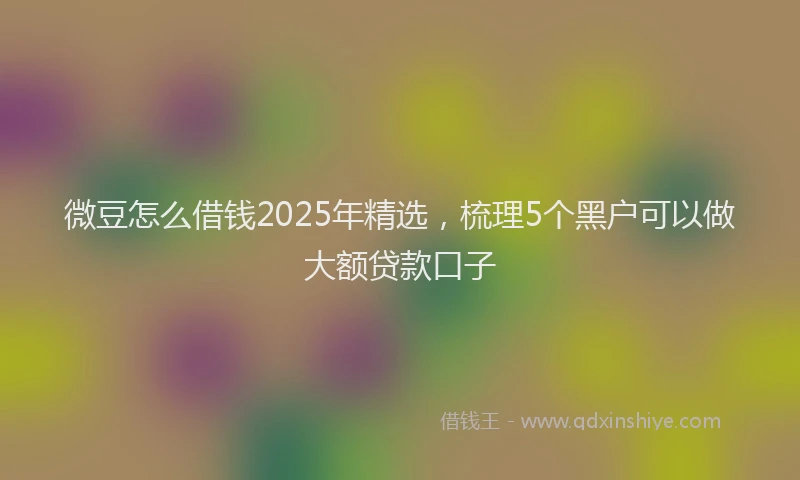 微豆怎么借钱2025年精选，梳理5个黑户可以做大额贷款口子