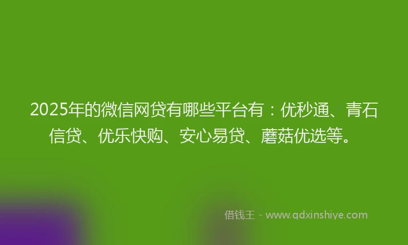 2025年的微信网贷有哪些平台有：优秒通、青石信贷、优乐快购、安心易贷、蘑菇优选等。