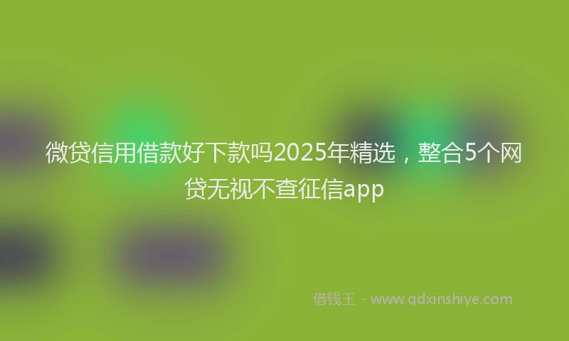 微贷信用借款好下款吗2025年精选，整合5个网贷无视不查征信app