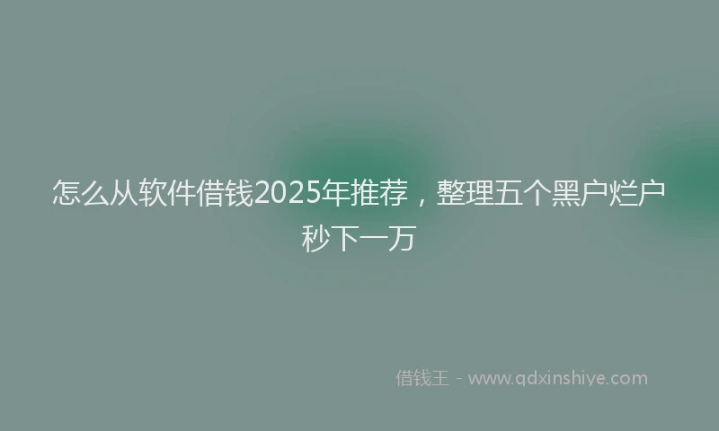 怎么从软件借钱2025年推荐，整理五个黑户烂户秒下一万