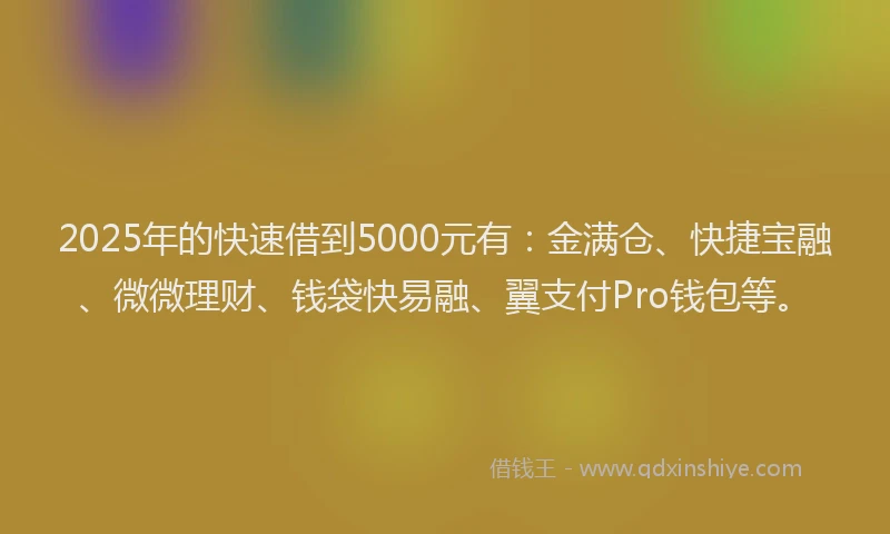 2025年的快速借到5000元有：金满仓、快捷宝融、微微理财、钱袋快易融、翼支付Pro钱包等。
