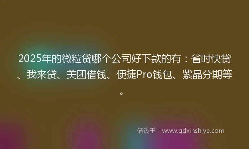 2025年的微粒贷哪个公司好下款的有：省时快贷、我来贷、美团借钱、便捷Pro钱包、紫晶分期等。