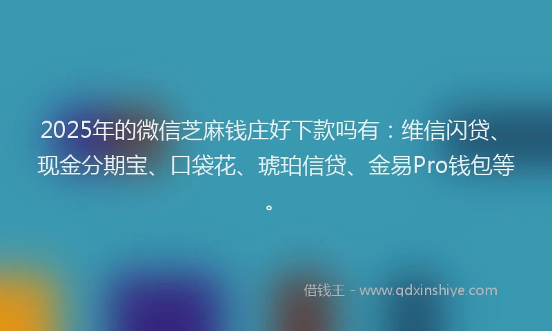 2025年的微信芝麻钱庄好下款吗有：维信闪贷、现金分期宝、口袋花、琥珀信贷、金易Pro钱包等。
