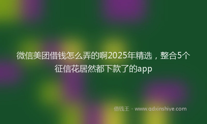 微信美团借钱怎么弄的啊2025年精选，整合5个征信花居然都下款了的app