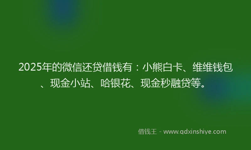 2025年的微信还贷借钱有：小熊白卡、维维钱包、现金小站、哈银花、现金秒融贷等。