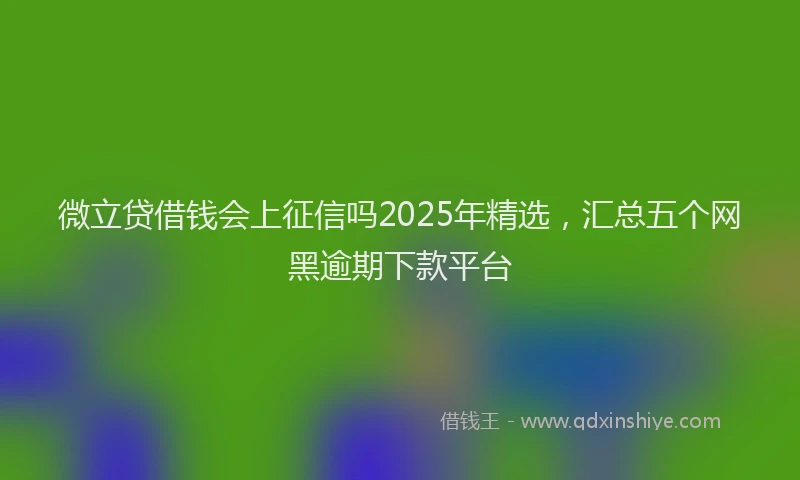 微立贷借钱会上征信吗2025年精选，汇总五个网黑逾期下款平台