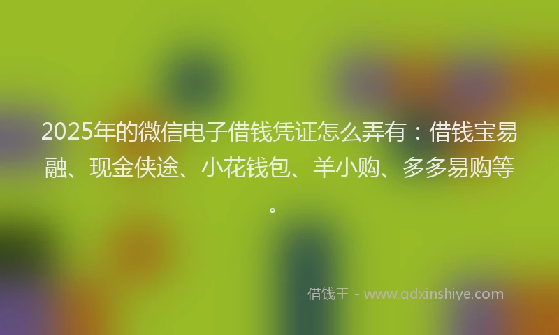 2025年的微信电子借钱凭证怎么弄有：借钱宝易融、现金侠途、小花钱包、羊小购、多多易购等。