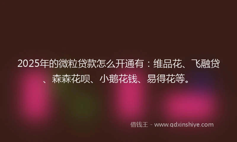 2025年的微粒贷款怎么开通有：维品花、飞融贷、森森花呗、小鹅花钱、易得花等。