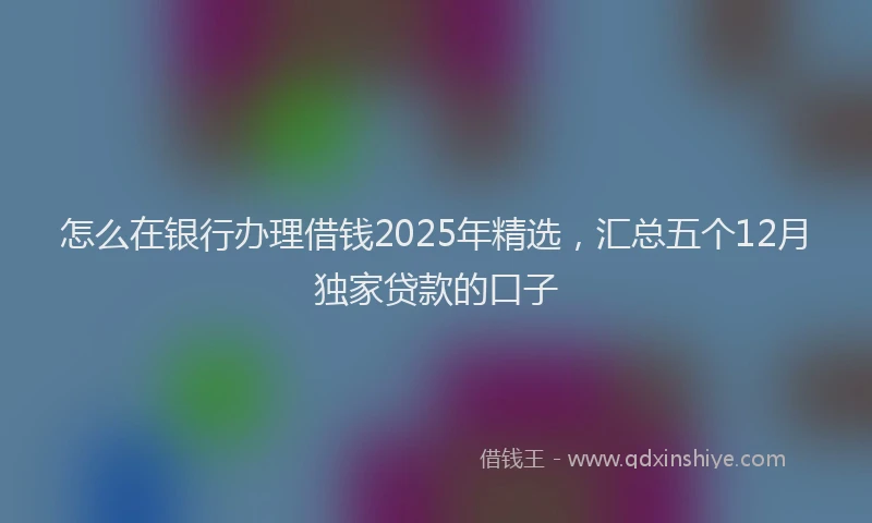怎么在银行办理借钱2025年精选，汇总五个12月独家贷款的口子