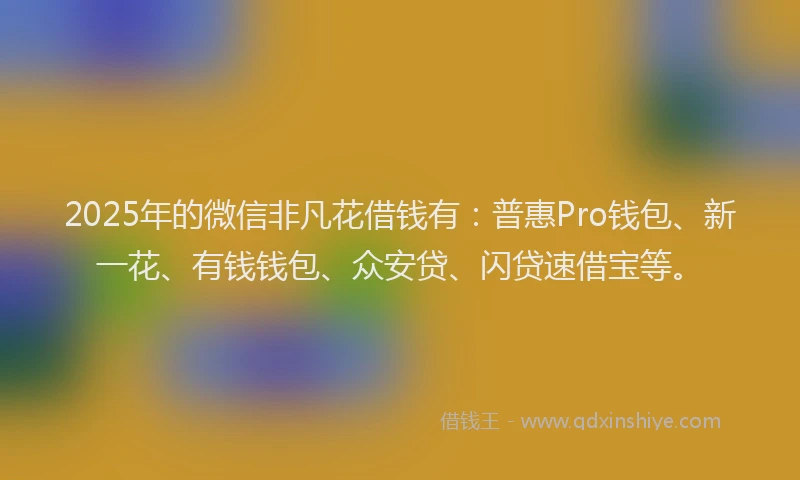 2025年的微信非凡花借钱有：普惠Pro钱包、新一花、有钱钱包、众安贷、闪贷速借宝等。