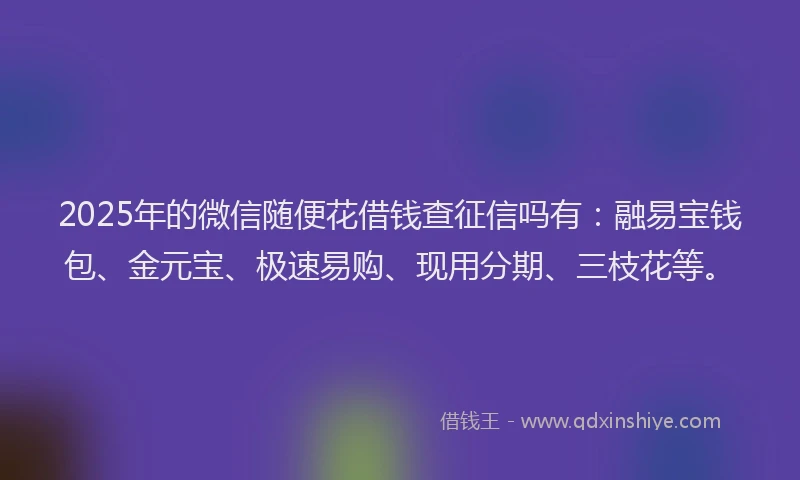 2025年的微信随便花借钱查征信吗有：融易宝钱包、金元宝、极速易购、现用分期、三枝花等。