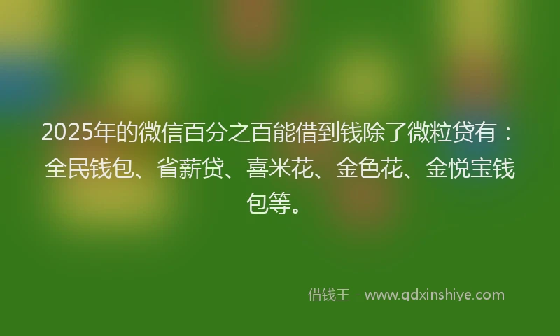 2025年的微信百分之百能借到钱除了微粒贷有：全民钱包、省薪贷、喜米花、金色花、金悦宝钱包等。