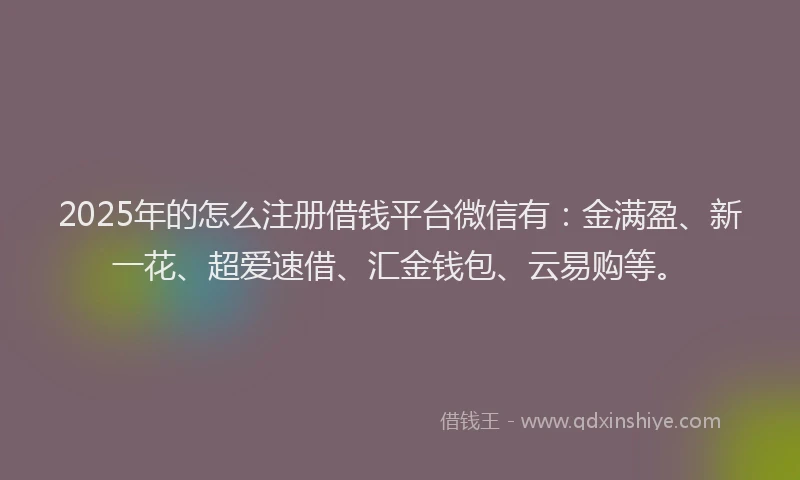 2025年的怎么注册借钱平台微信有：金满盈、新一花、超爱速借、汇金钱包、云易购等。