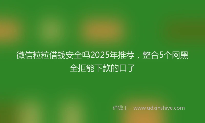 微信粒粒借钱安全吗2025年推荐，整合5个网黑全拒能下款的口子