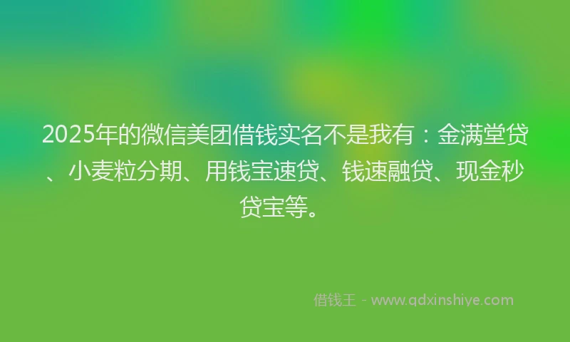 2025年的微信美团借钱实名不是我有：金满堂贷、小麦粒分期、用钱宝速贷、钱速融贷、现金秒贷宝等。
