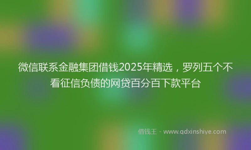 微信联系金融集团借钱2025年精选，罗列五个不看征信负债的网贷百分百下款平台