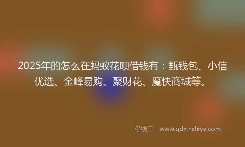 2025年的怎么在蚂蚁花呗借钱有：甄钱包、小信优选、金峰易购、聚财花、魔快商城等。