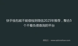 快手钱包能不能借钱到微信2025年推荐，整合5个不看负债查询的平台